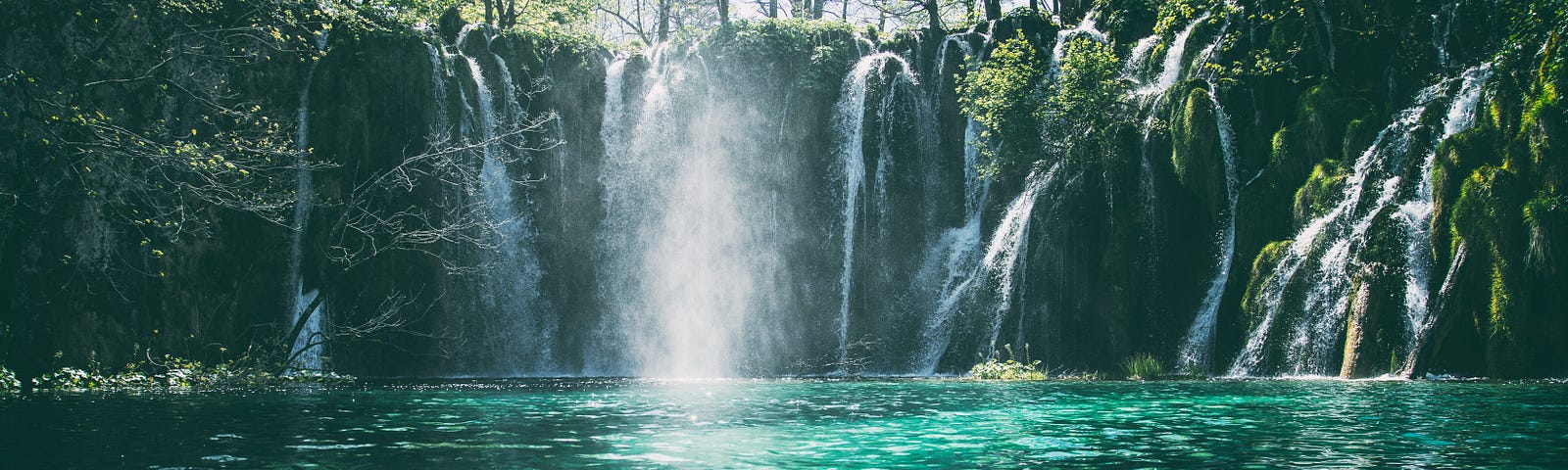 pic of a beautiful waterfall in the forest