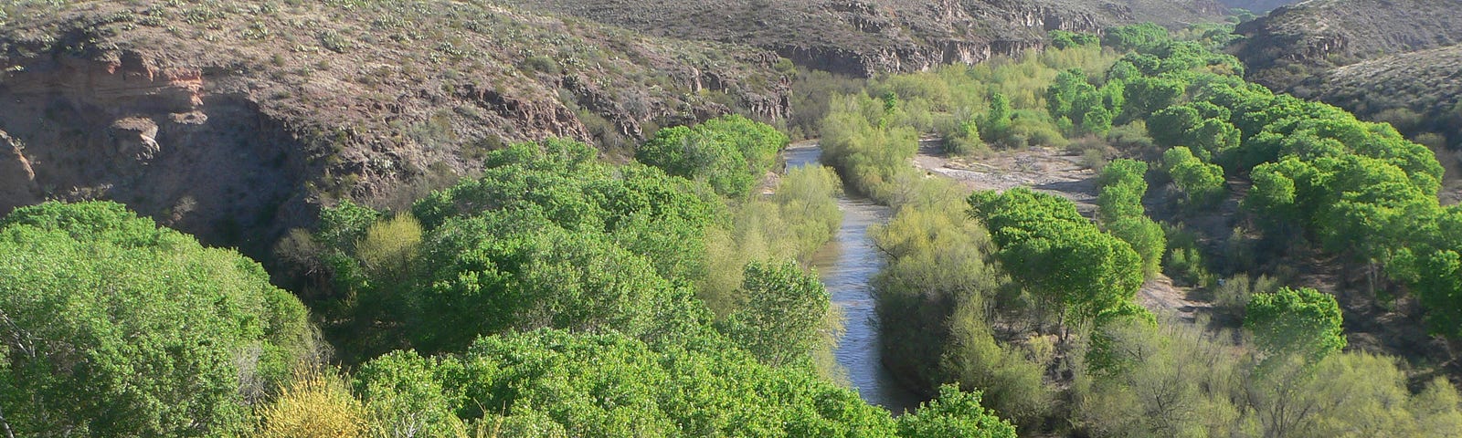 Confluence of Bonita Creek and Gila River in Gila Box Riparian National Conservation Area, in Graham County, Arizona; seen from the vicinity of the Kearny campsite monument. The Gila flows toward the camera, center and left of center; Bonita Creek flows left to right, through the canyon whose far wall is visible behind trees at the right edge of the photo.