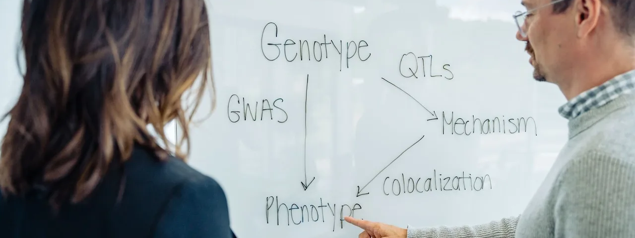 Variant Bio Co-Founder, Chief Technology Officer, and Chief Genomics Officer Stephane Castel diagraming the ways in which analyses at Variant Bio allow us to link genetics to therapeutic targets and hypotheses.