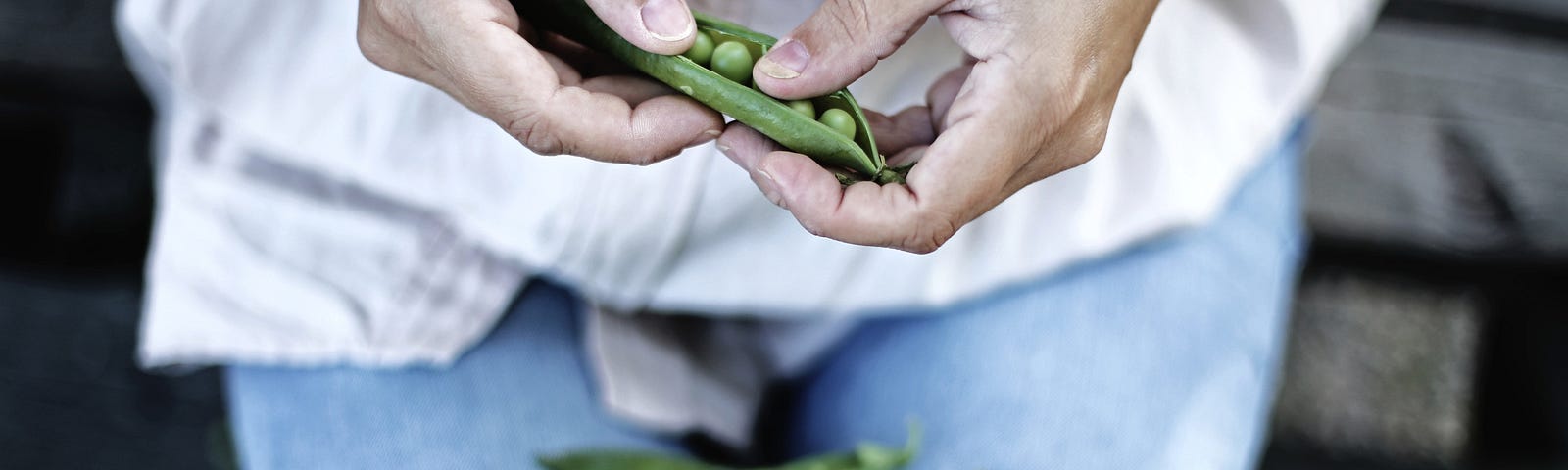 A woman shells green peas with her hands, and a pile on her lap.