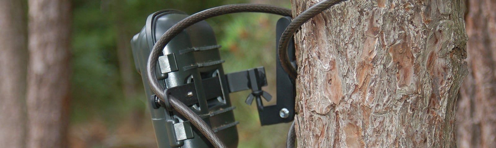 trail cameras secure