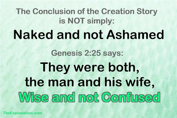 The conclusion of the Creation story is not only that they were naked and not ashamed. They were WISE and NOT CONFUSED