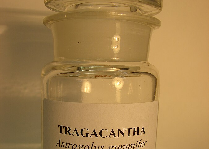 A photograph of a clear glass bottle with a glass stopper, a white label with black text of Tragacantha, Astragalus gummifier. In the bottom of the bottle is a smooth dark piece of gum, two other reddish pieces of gum about the same size and a larger gray looking piece of gum. The bottle is sitting on a white surface with a white background.