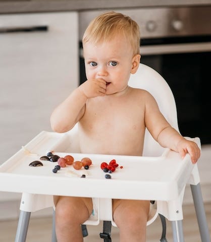 baby choosing which fruit to eat