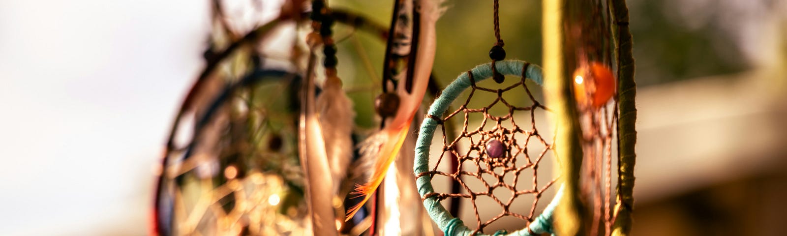 several dream catchers in different sizes hanging.