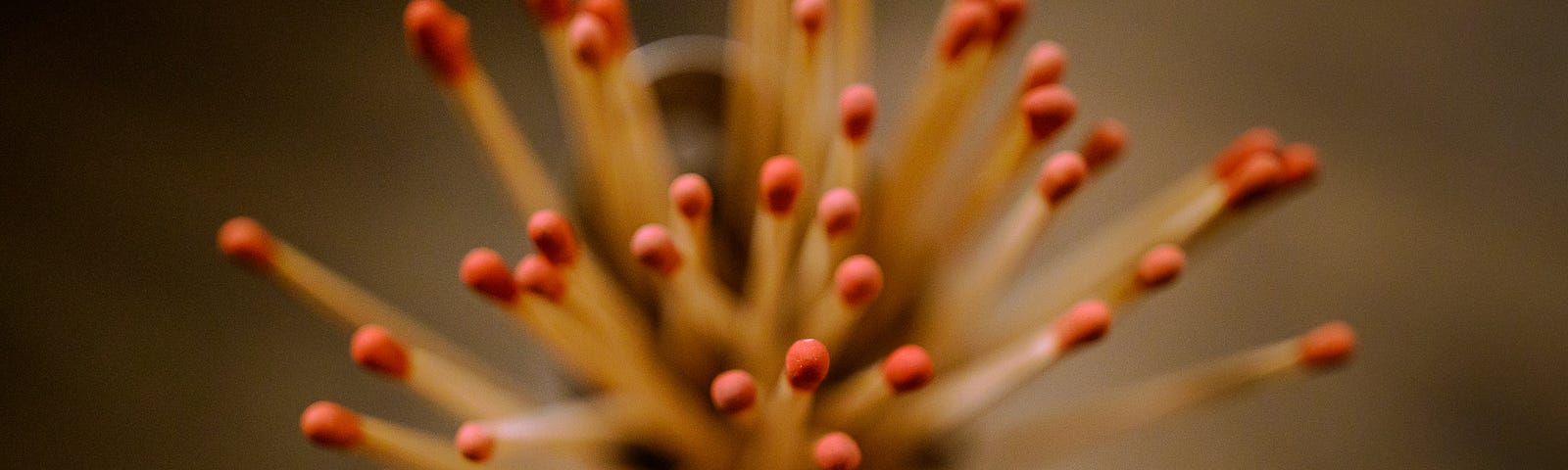 A handful of wooden matches with red tips standing fanned out on end against a smoky brown background.