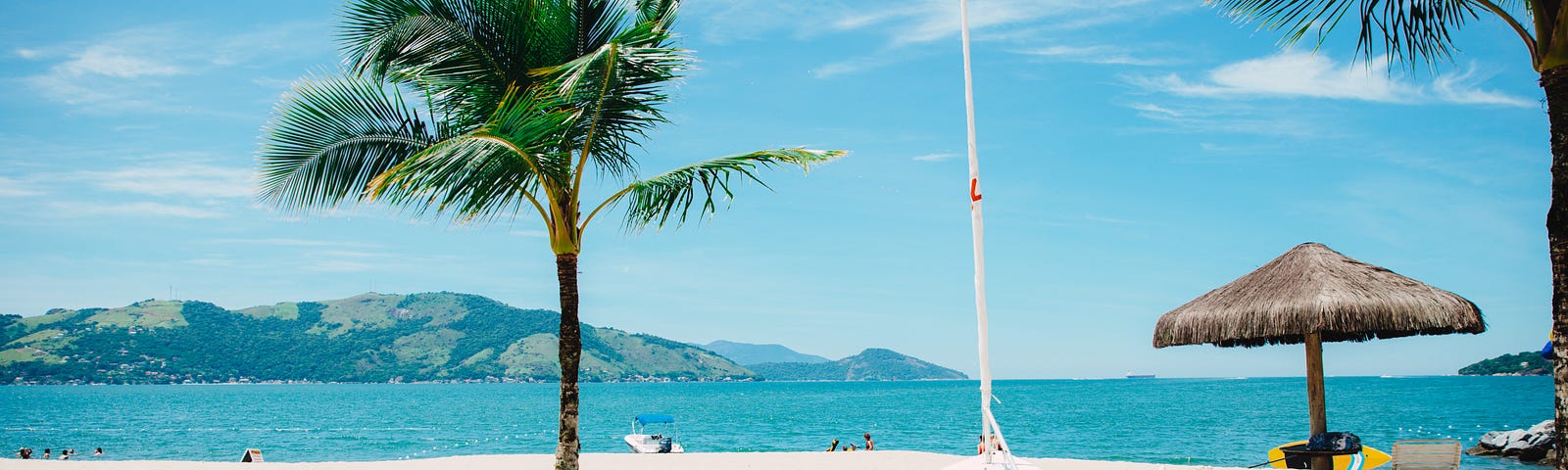 beach and palm trees