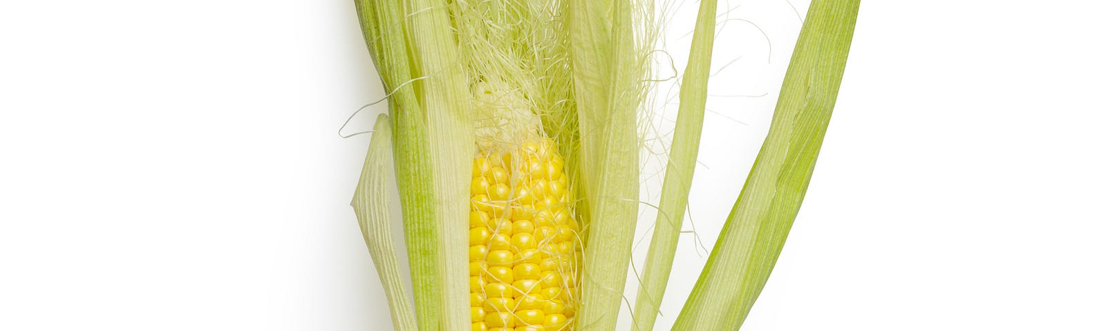 what nutrition does corn have