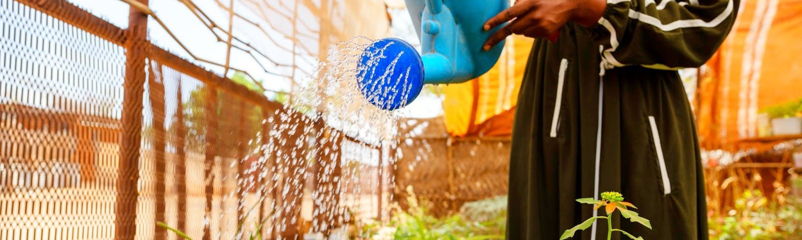 A person waters green plants next to a fence using a blue watering can.