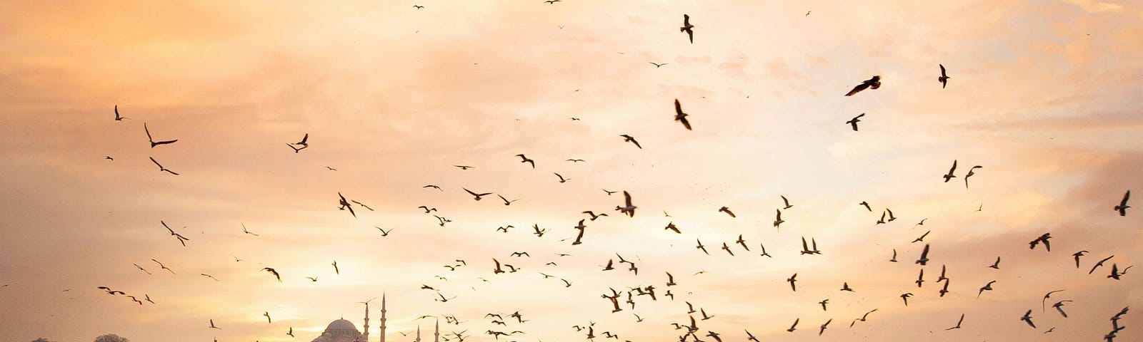 A landscape view of Eminonu, Istanbul at sunset with a colony of seagulls.