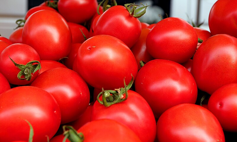 A photograph of a large assortment of red tomatoes with green stems. The background has been blurred.