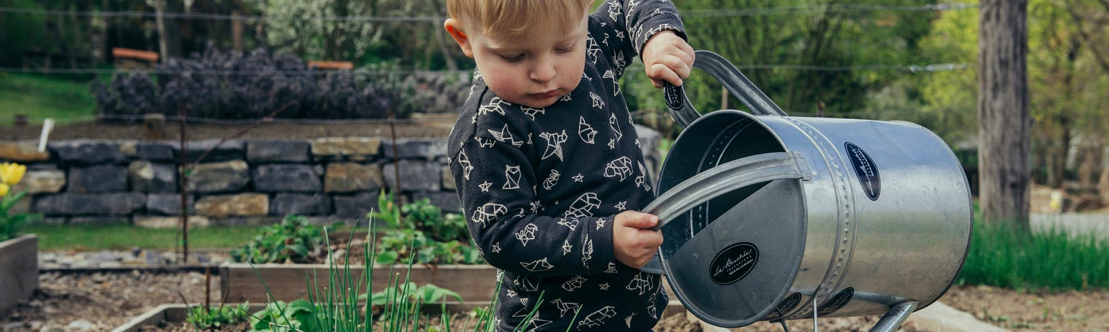 Here is a photo of a child watering in the garden, representing our need to plant things that will yield personal growth and transformation in our lives.