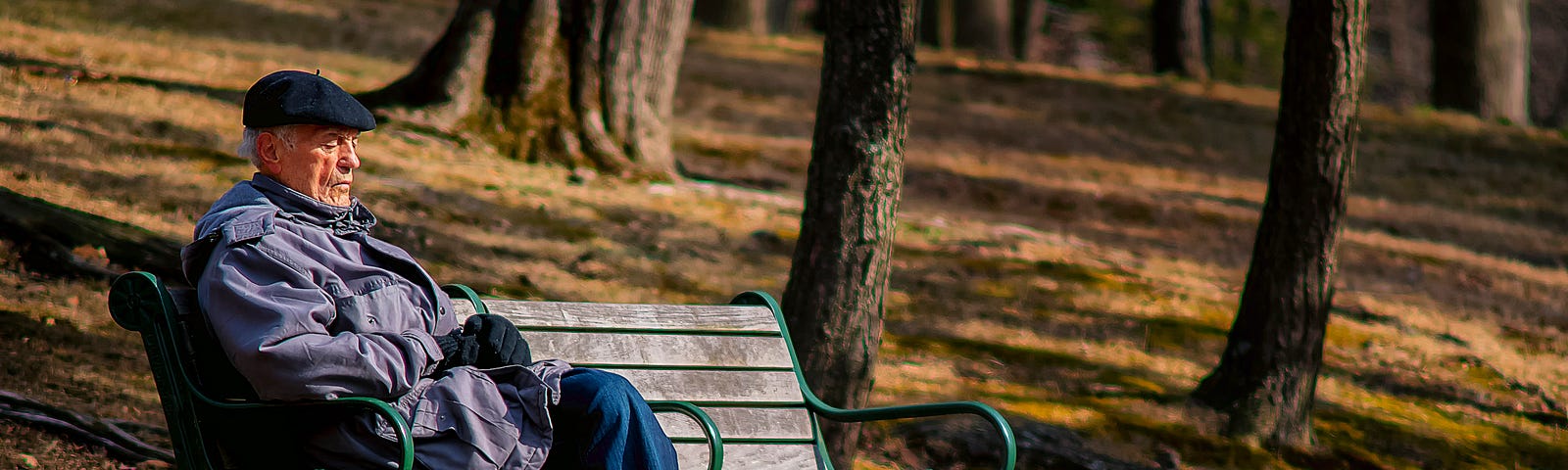Man resting alone on a park bench