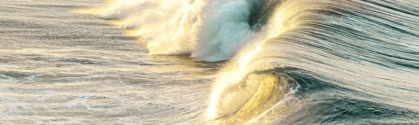 A cresting wave just about to break, shining in the sun