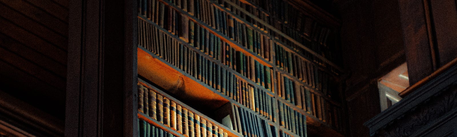 library shelves in the dark of night
