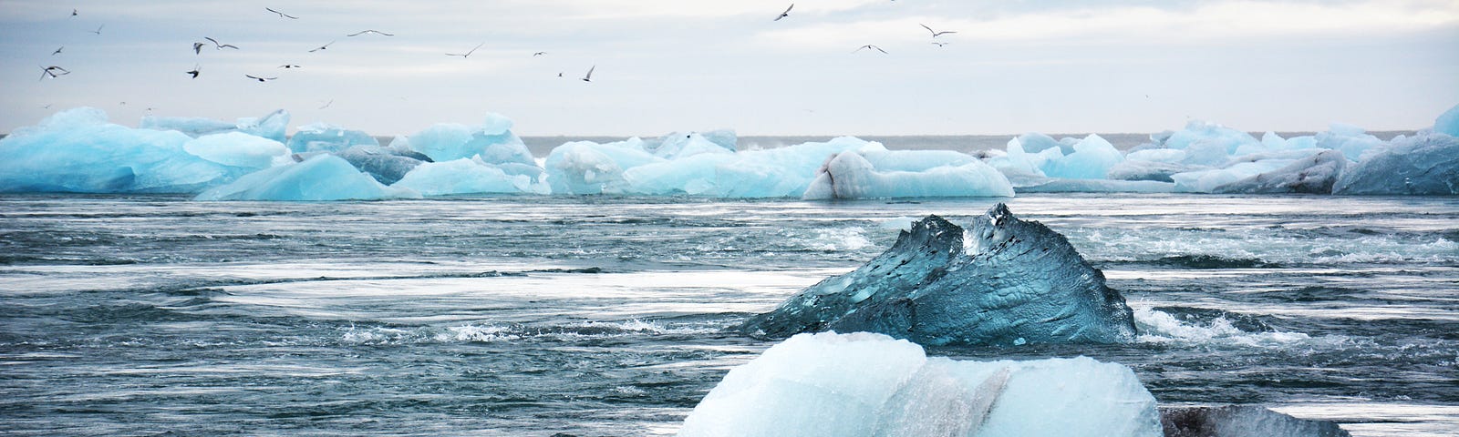 Icebergs in the ocean