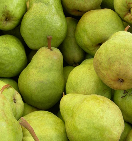 A photograph of a jumble of Bartlett pears. (Williams Bon Chrétien pears), Seattle Tilth Harvest Festival, Meridian Park (adjacent to the Good Shepherd Center), Wallingford, Seattle, Washington.