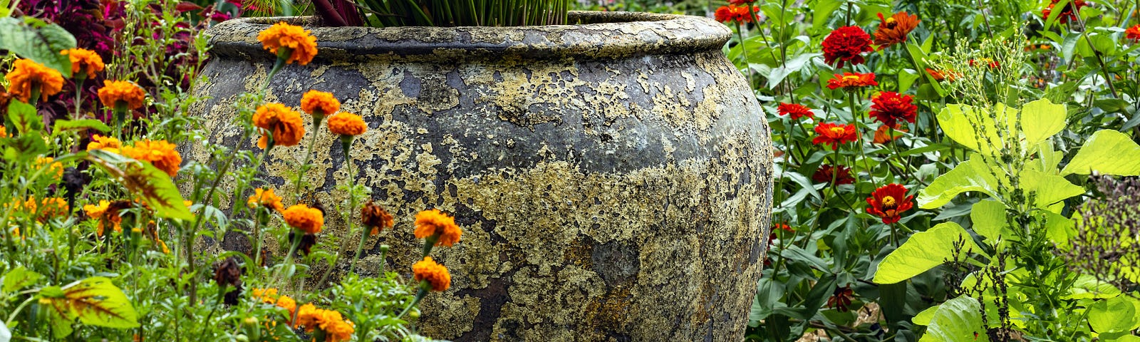 Garden with potted plant and marigolds