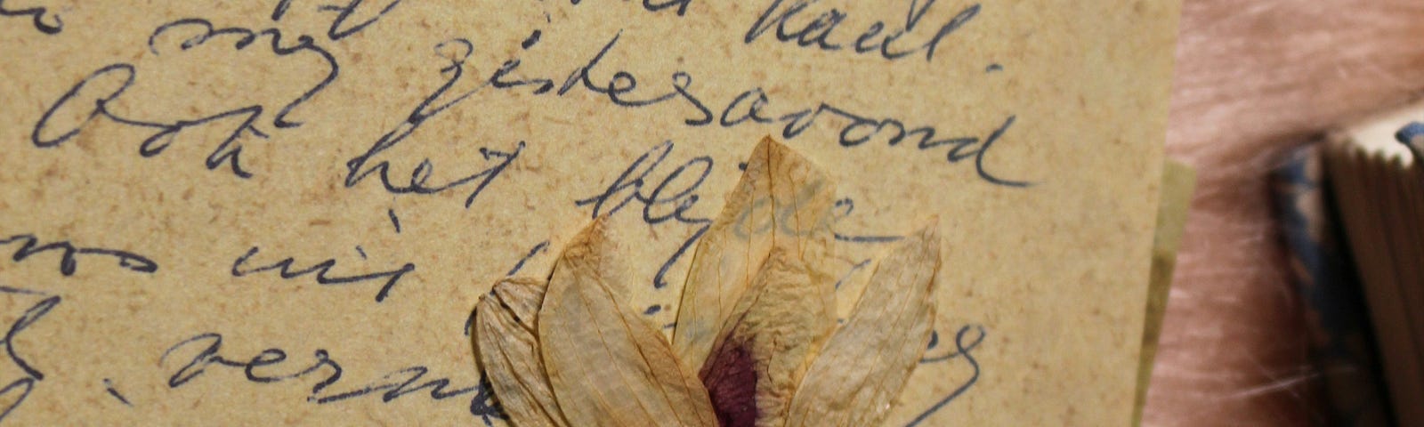 Letter with leaves
