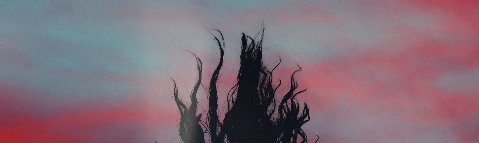 Silhouette of a woman with hair in wind with a bright red and blue sunset as a back drop.