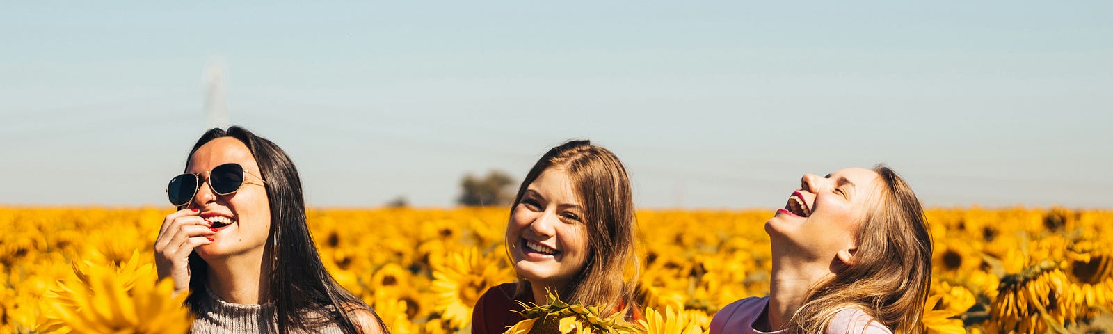 Three women laughing in a field of sunflowers