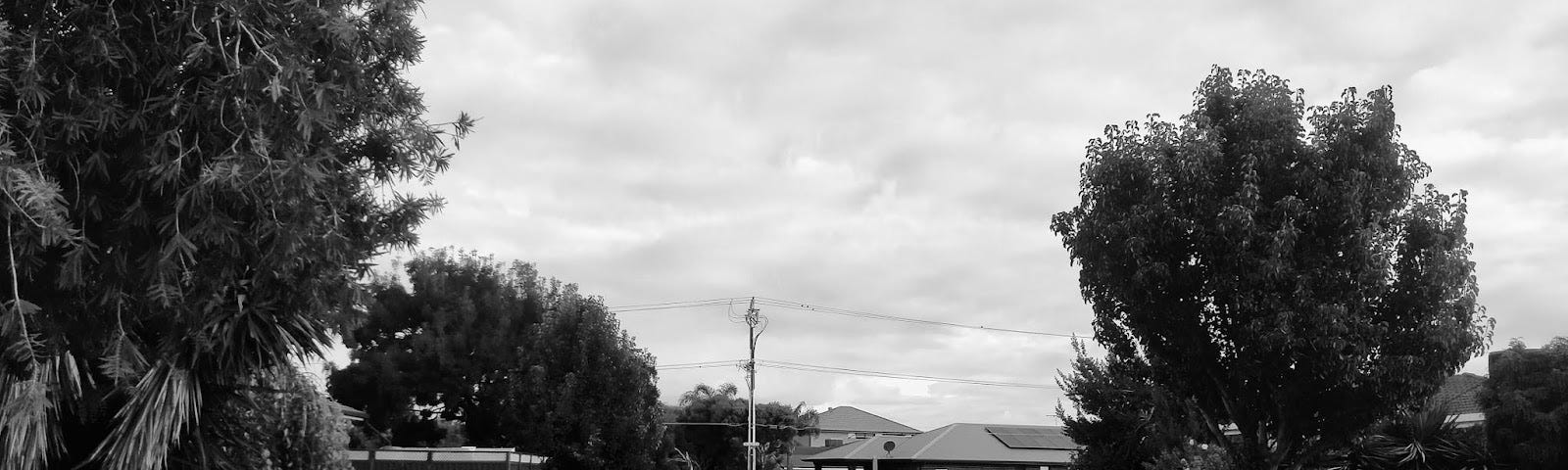 Black and white photo of a suburban street with houses and trees on a day.