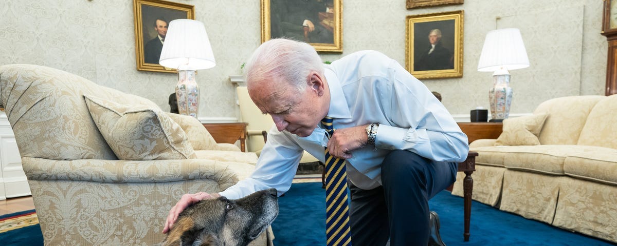 President Joe Biden pets the Biden family dog Champ in the Oval Office on Feb. 24, 2021, prior to a bipartisan meeting with House and Senate members to discuss supply chains.