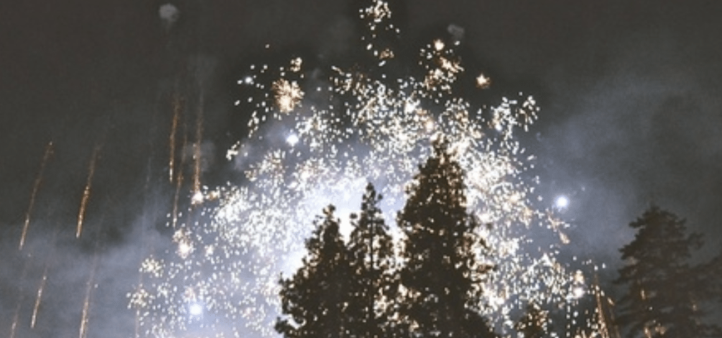 Fireworks above a line of trees - representing a New Year's resolution