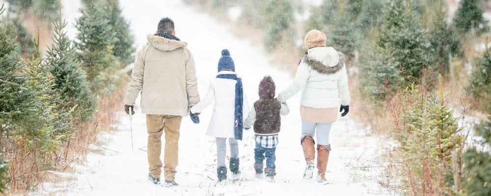 Family walking hand-in-hand along a snow-covered road between rows of fir trees.