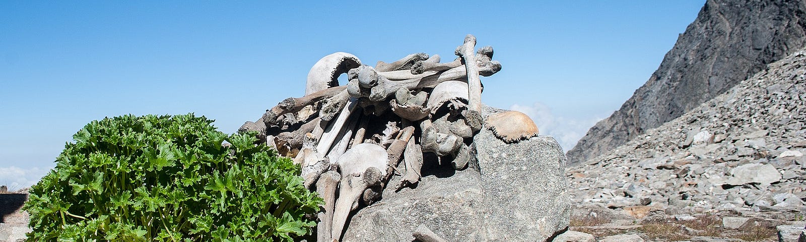 At Roopkund, or Skeleton Lake, rests the bones of hundreds of ancient humans
