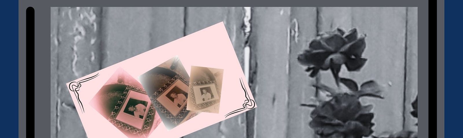 Image of me at five in a pink picture next to black and white roses.