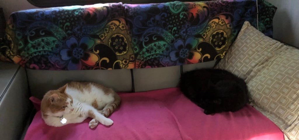 Two cats are sleeping on the RV couch