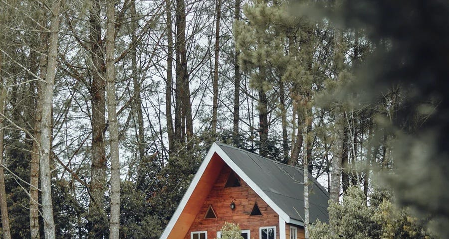 Cozy home in the woods.