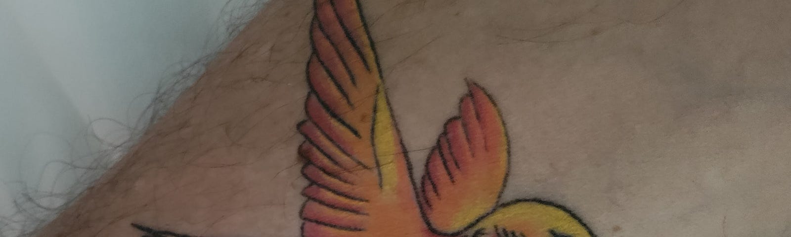 Photo of Writer’s Hummingbird Tattoo on His Forearm