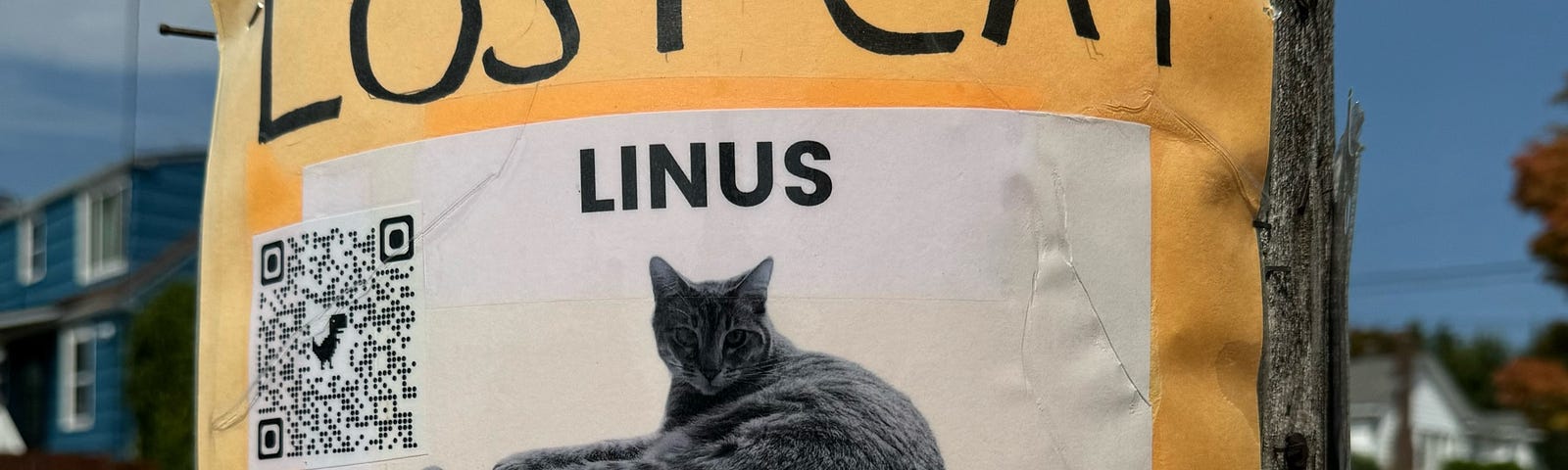 An orange lost cat sign for Linus.