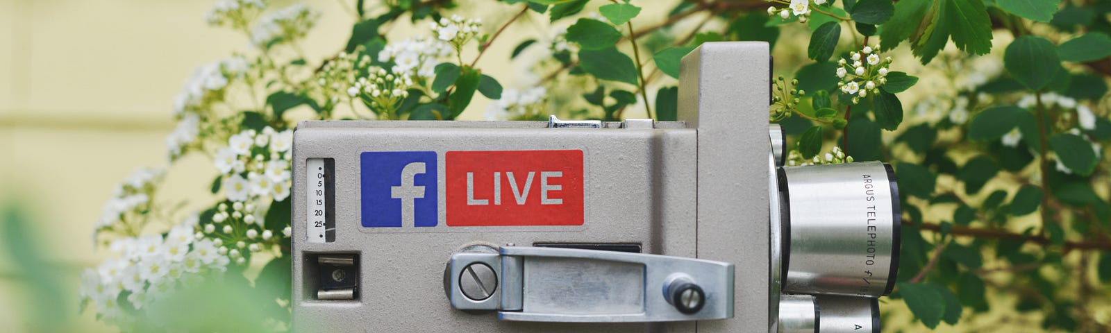 Using Facebook or Instagram Live should be a part of your social media strategy — no matter what industry you are in.