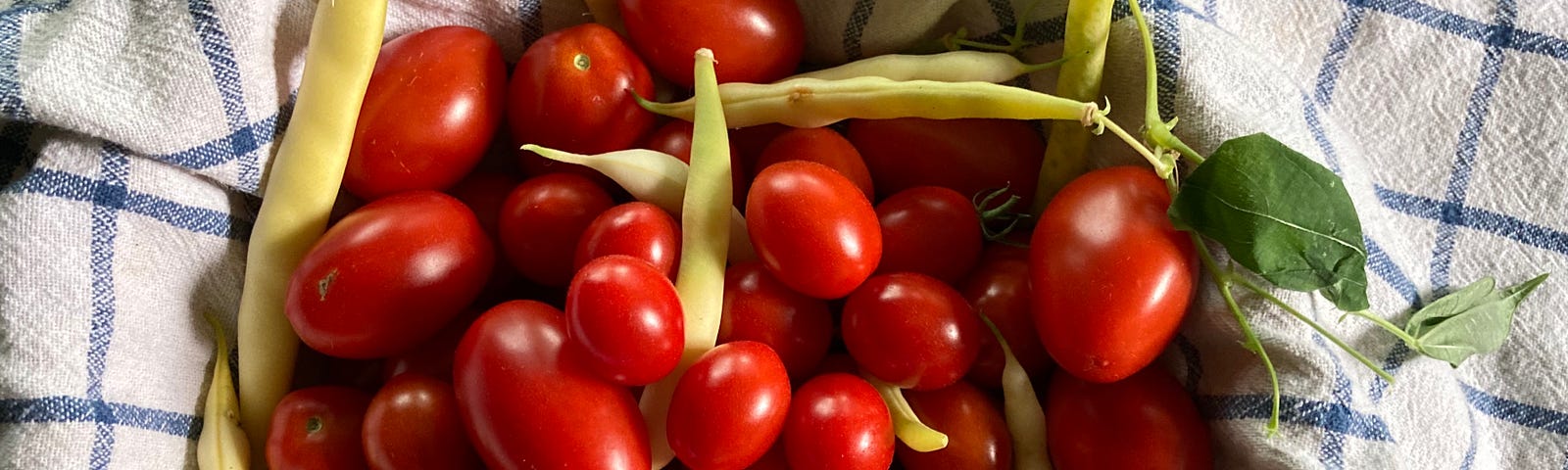 Cherry tomatoes & Wax beans