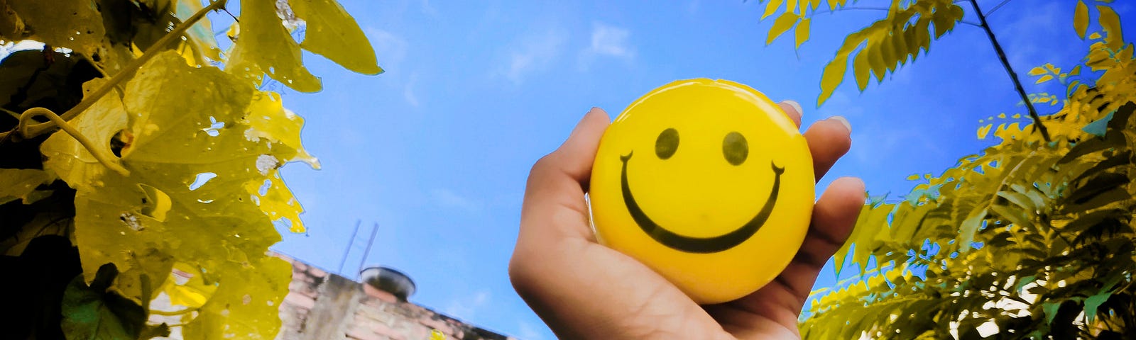 smiley in the hand in a naturally beautiful view