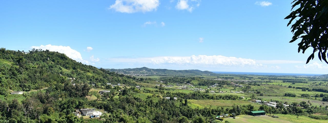 Photo of a lush Puerto Rican hillside on a clear sunny day with the Caribbean Sea in the background.