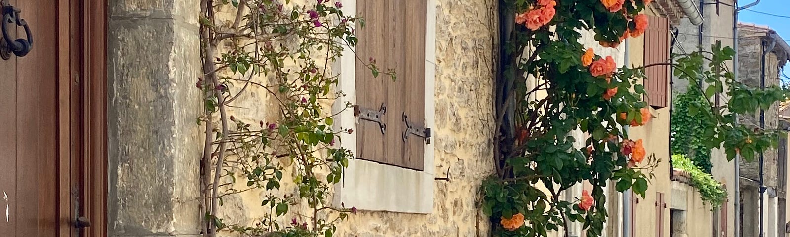 Rose bush over a doorway in Trausse, France