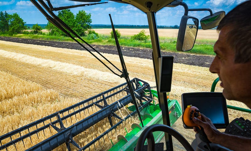 A man sits in a combine harvester in a field of wheat, harvesting grain.