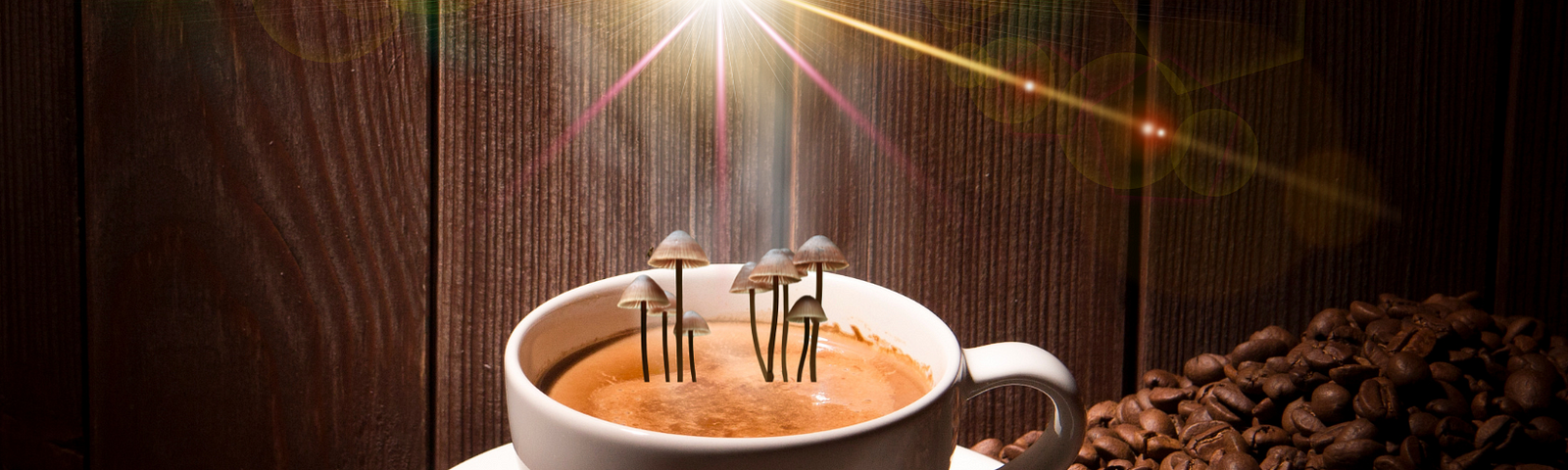 A cup of coffee with mushrooms sprouting from it; a glowing light above