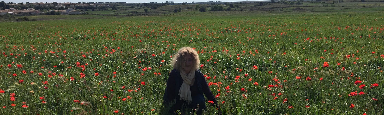woman in poppy field