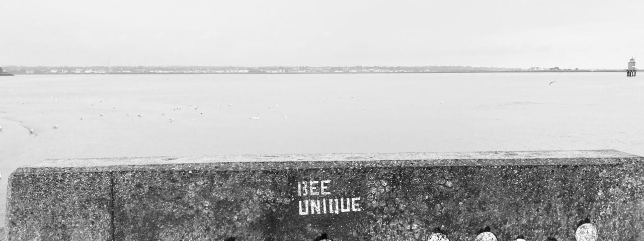 Al line of bees that look like people, painted on a wall with “Bee Uniquie” written over them and sea in background