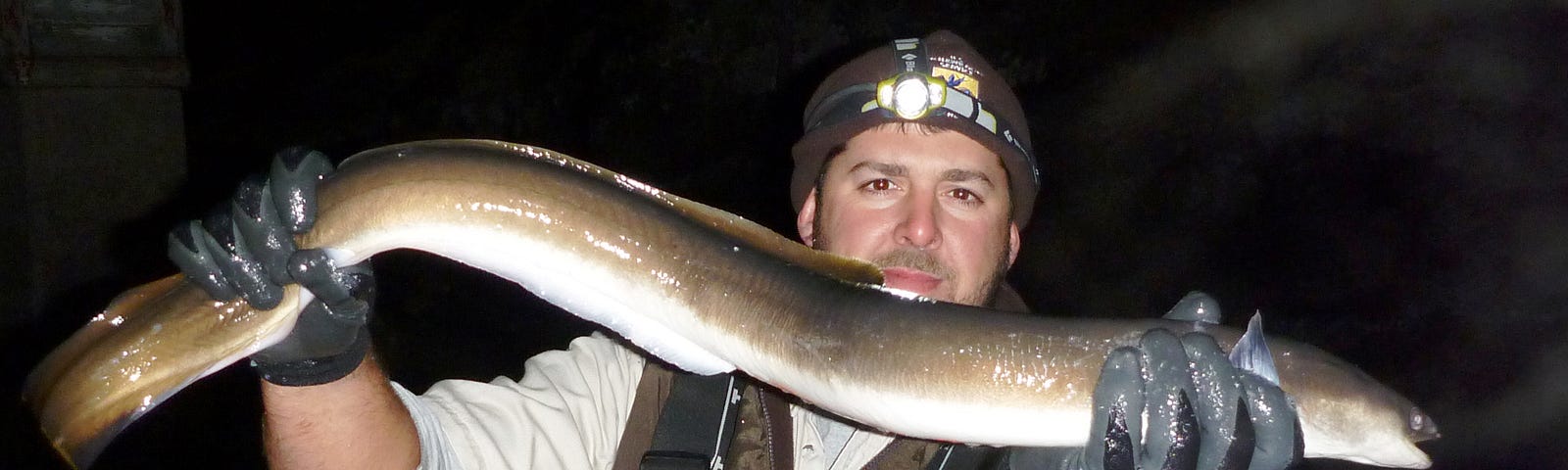 a man holds a large eel in outstretched arms