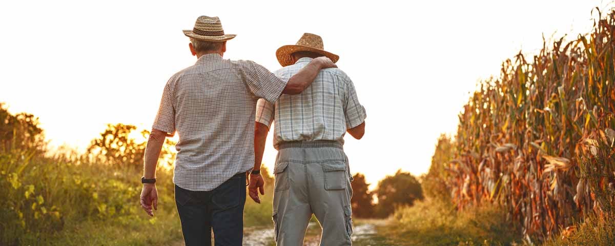 Two elders walking arm-in-arm through a corn field.