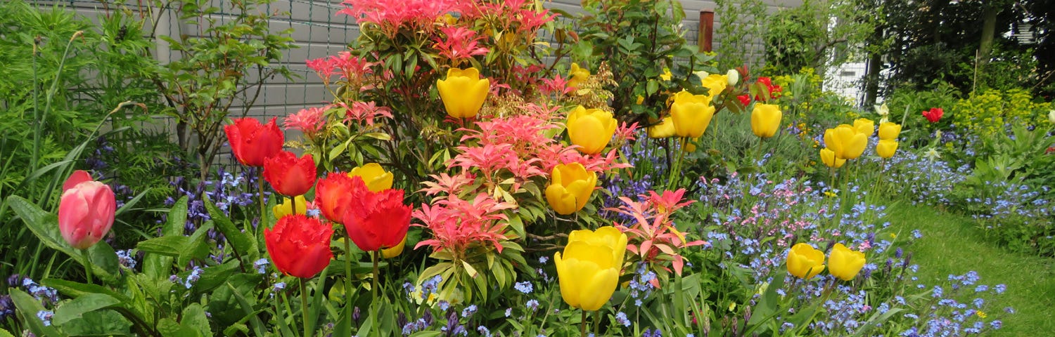 A flower-filled border in an English country garden.