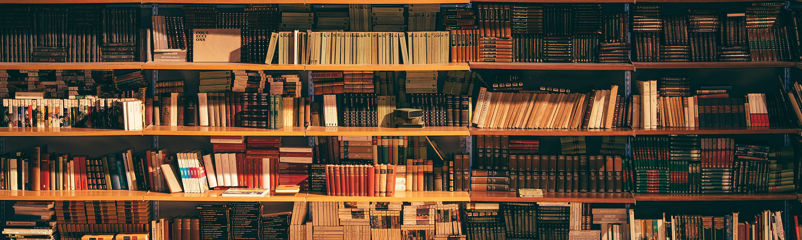 Article cover depicting crowded bookshelfs