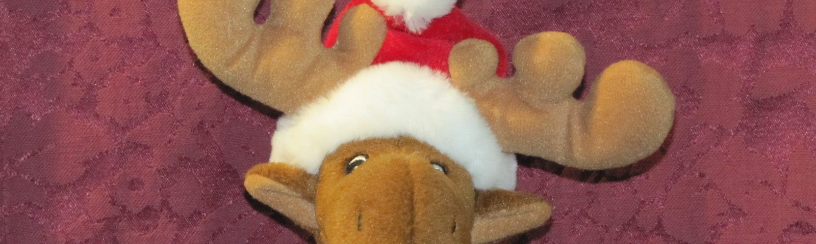 A small stuffed (Christmas) moose, wearing a read and white toque and scarf.