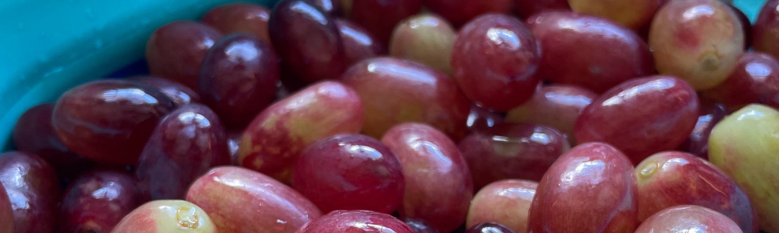 Fresh grapes being rinsed in a colander